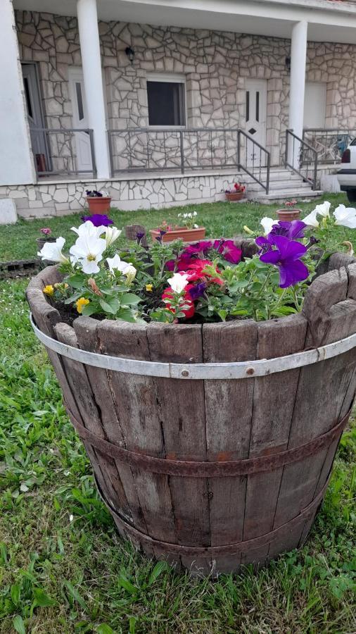 Kamena Kuca Family Rodin Apartment Čapljina Exterior foto