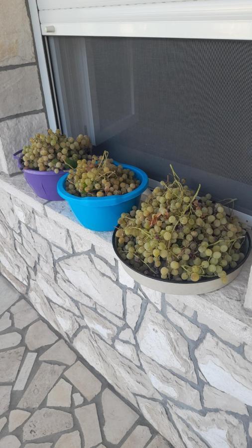 Kamena Kuca Family Rodin Apartment Čapljina Exterior foto